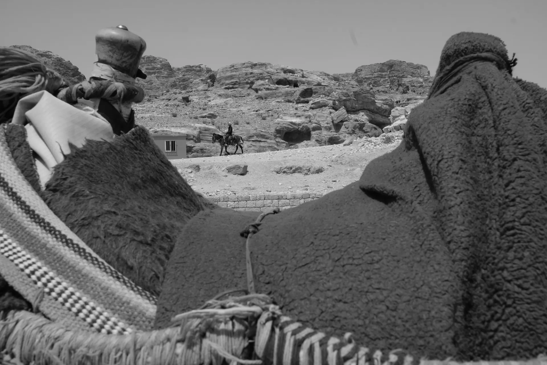 Unsorted black and white pictures