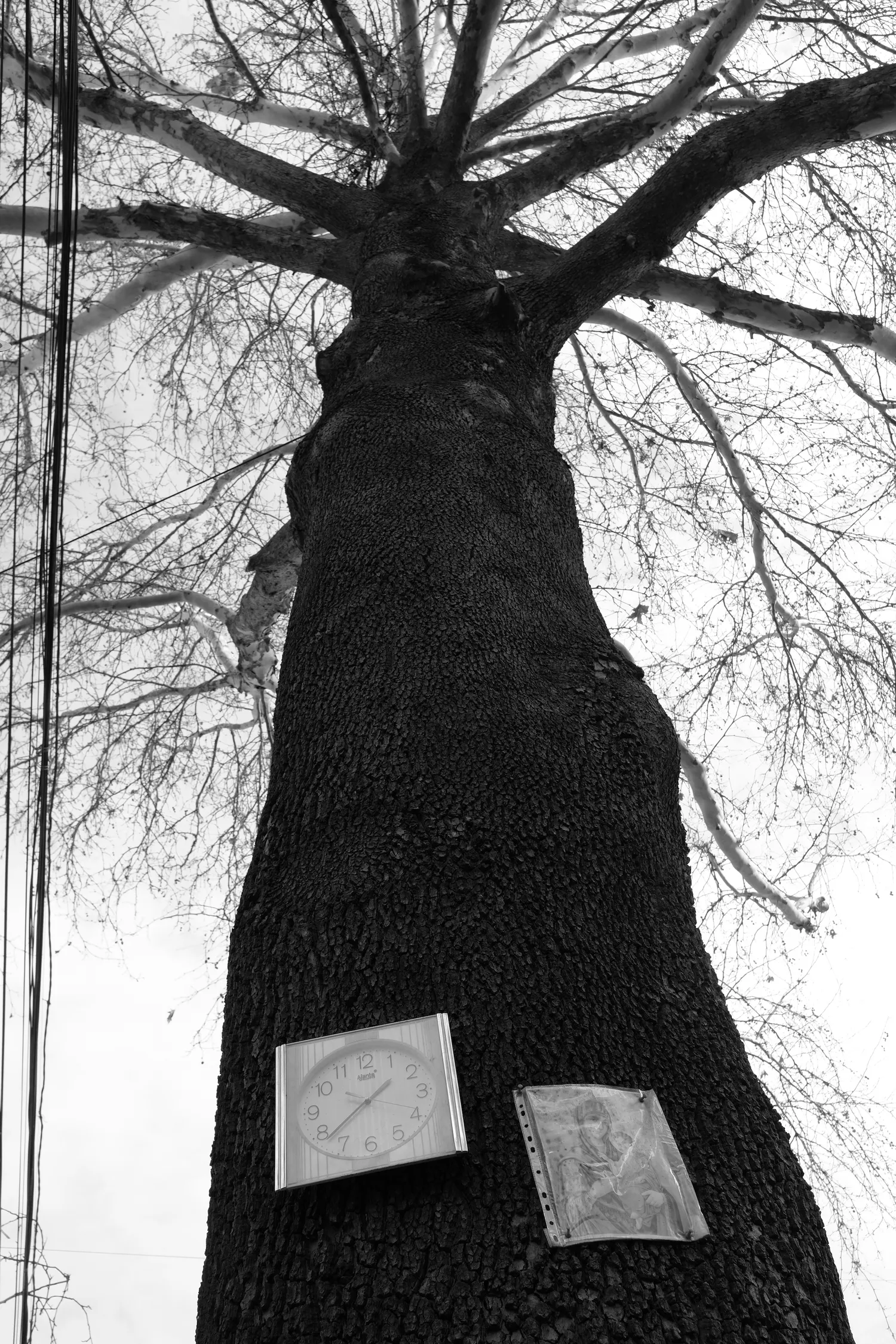 A tree with clock and Virgin Mary - Yerevan
